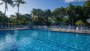 Une piscine entourée de palmiers, avec des chaises longues et des parasols.