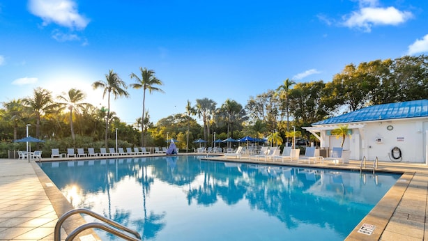 A swimming pool with lounge chairs and umbrellas, surrounded by palm trees and a building with a blue roof. - Key Largo 1BR - Ocean View, Near Founders Park (Tavernier)