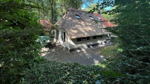 A thatched-roof cottage with a patio, surrounded by dense greenery.