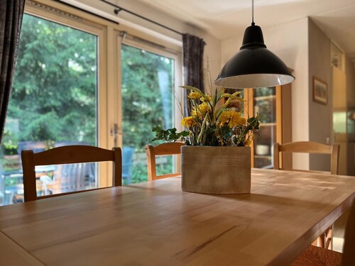 GREAT TIT - AMONG THE TREES!