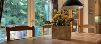 GREAT TIT - AMONG THE TREES!