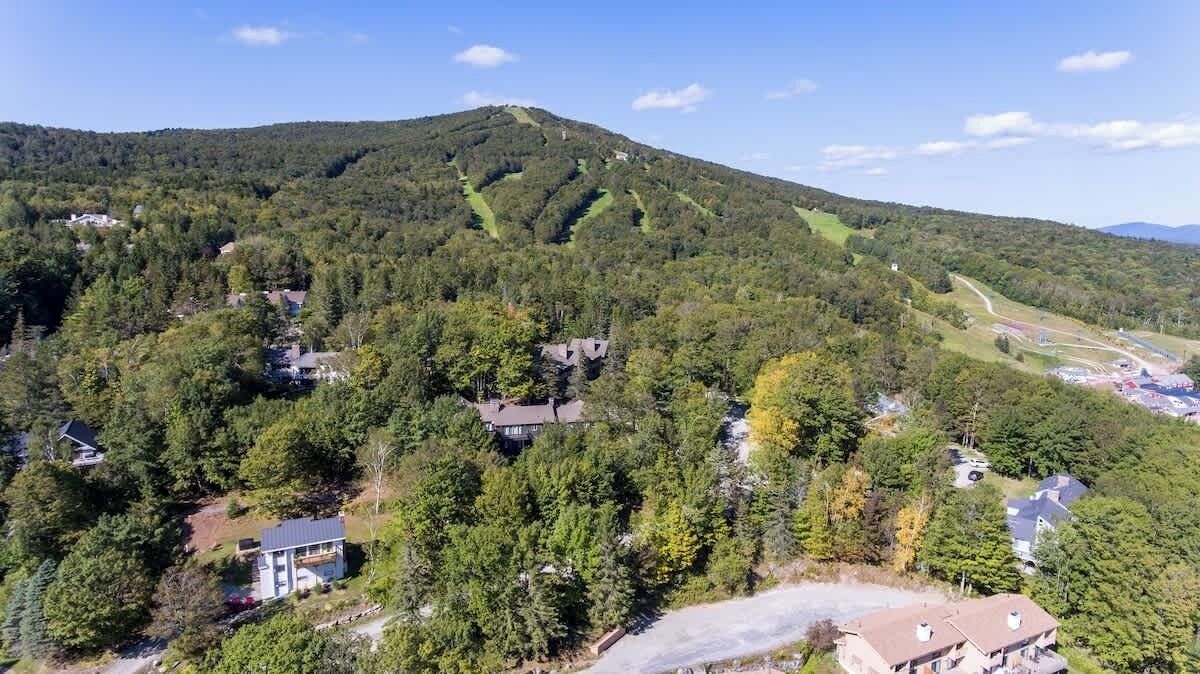 A mountainous landscape with multiple houses surrounded by dense forest.