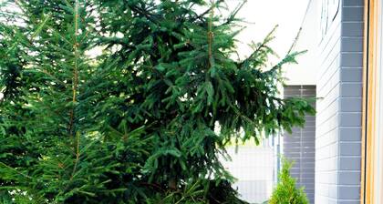 The Comfortable Bazantow Park Modern Suite