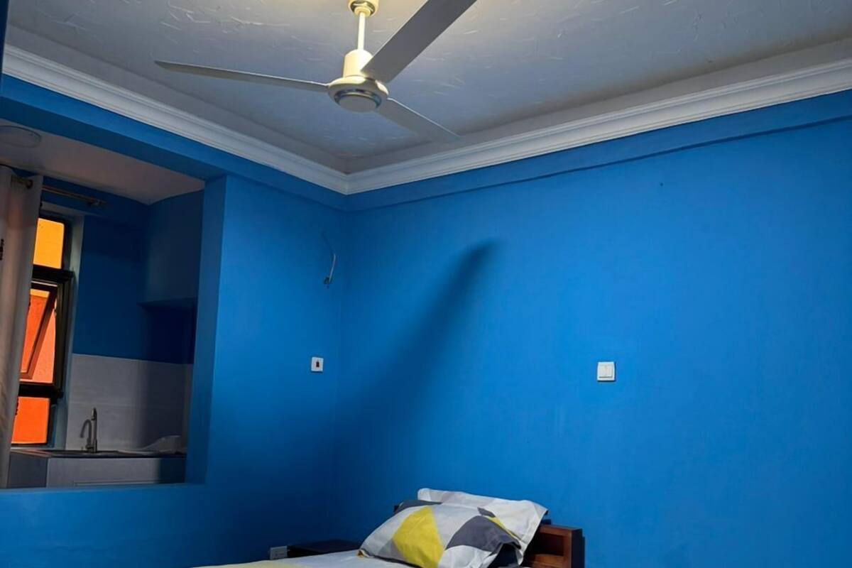 A room with a bed, a ceiling fan, and a window with curtains.