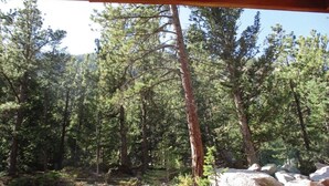 Une zone boisée avec une structure en bois, probablement une cabane ou un chalet, entourée de grands pins et de gros rochers.
