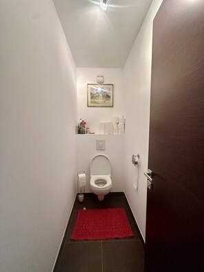 Douche, sèche-cheveux, papier toilette