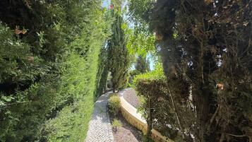 المنطقة المحيطة بالمنشأة