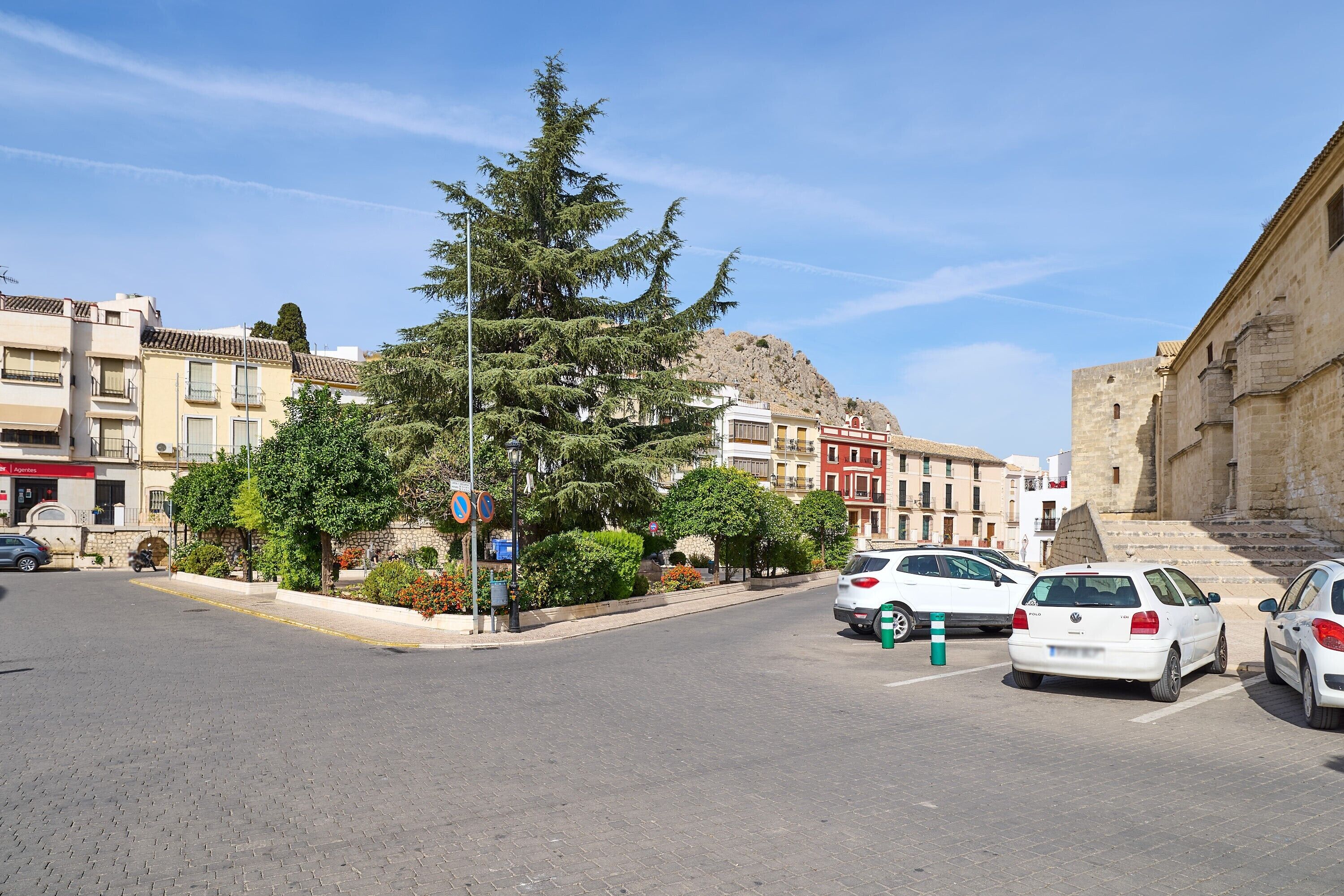 Una strada con auto parcheggiate, un albero grande e palazzi con balconi.