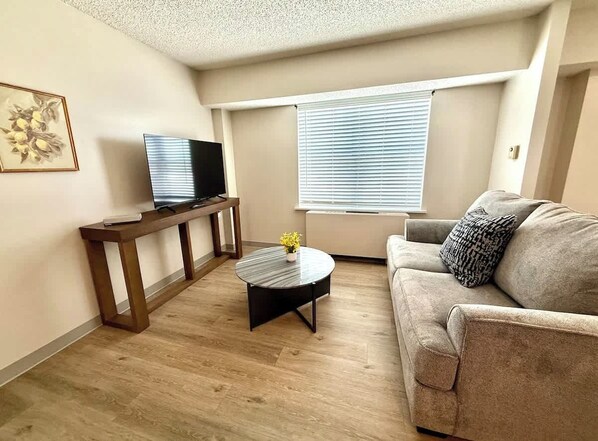 Fernseher, Arbeitsbereiche