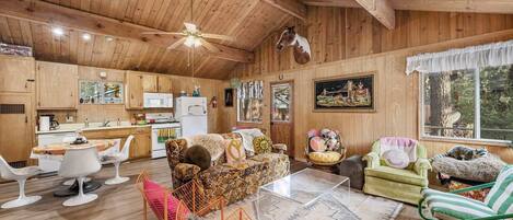 Televisión, chimenea y videojuegos