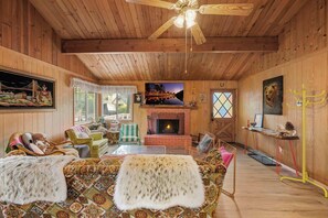 TV, fireplace, video games