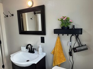 Hair dryer, towels, soap, shampoo - Peaceful Plum PA Home (Pittsburgh)