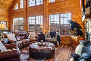 Smart TV, fireplace, books, stereo