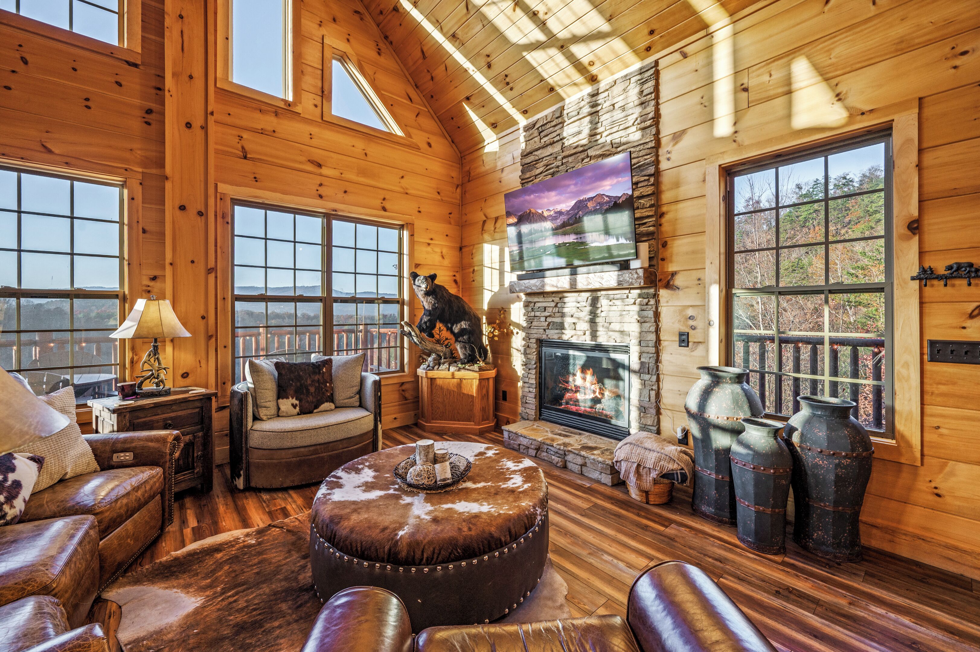 TV connectée, cheminée, livres