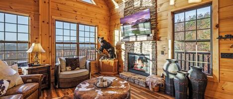 Smart TV, chimenea, libros