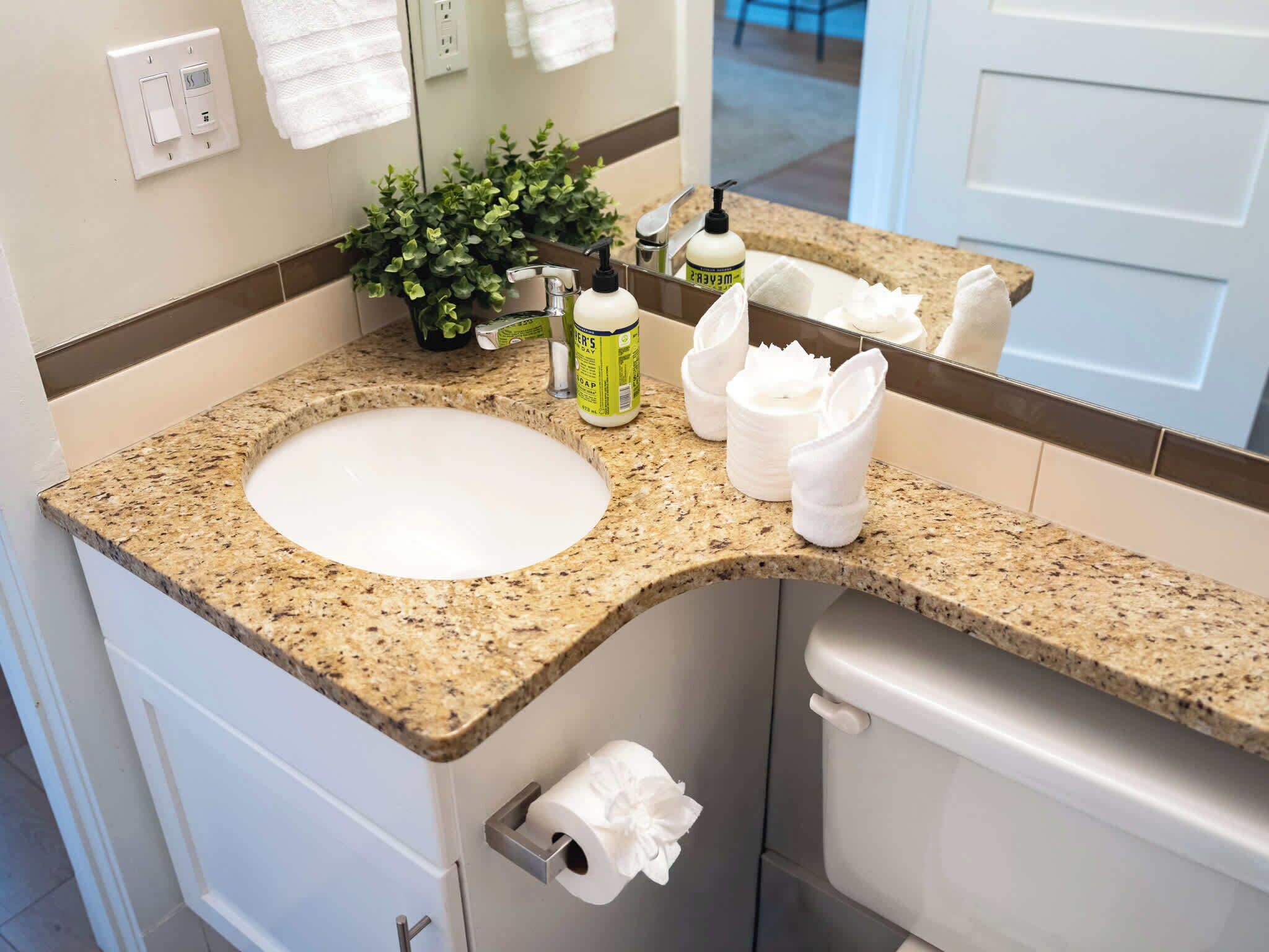 A bathroom with a granite countertop, a white sink, a mirror, a small potted plant, and a toilet paper holder.