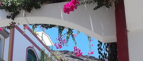 Apartment, 1 Bedroom, Smoking, Terrace | Garden