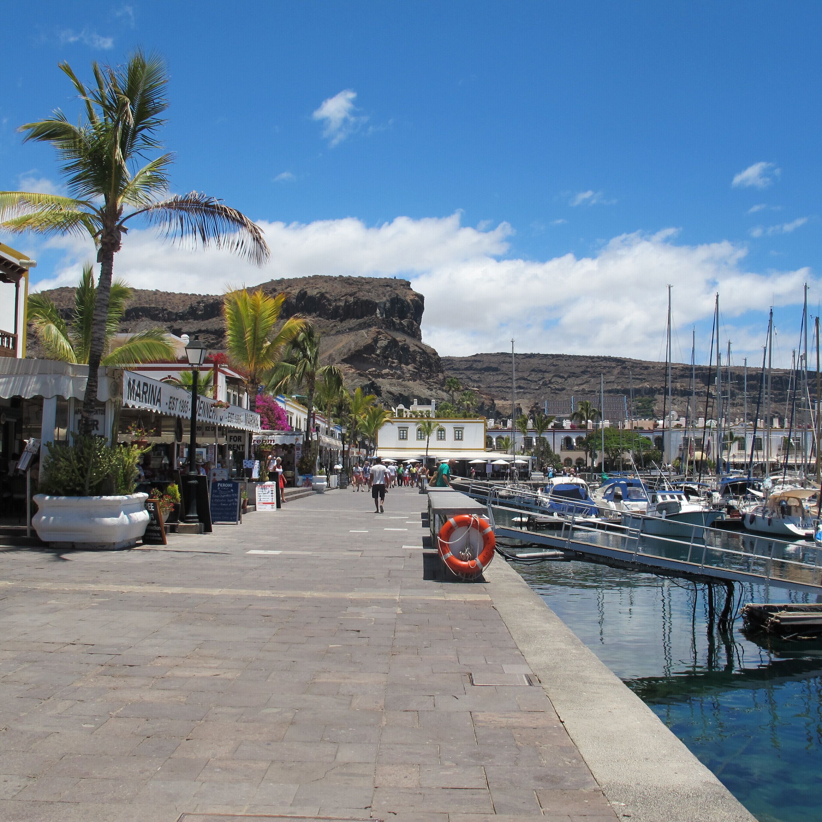 A marina with boats docked, a paved walkway, and a mountain in the background.