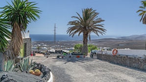 A coastal view with a stone wall, palm trees, and a clear sky.