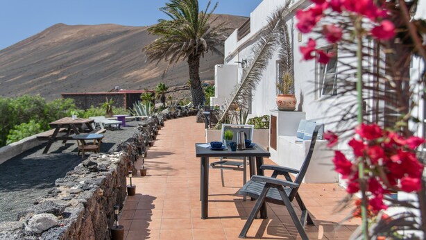A patio with outdoor seating, a palm tree, and a mountain in the background.