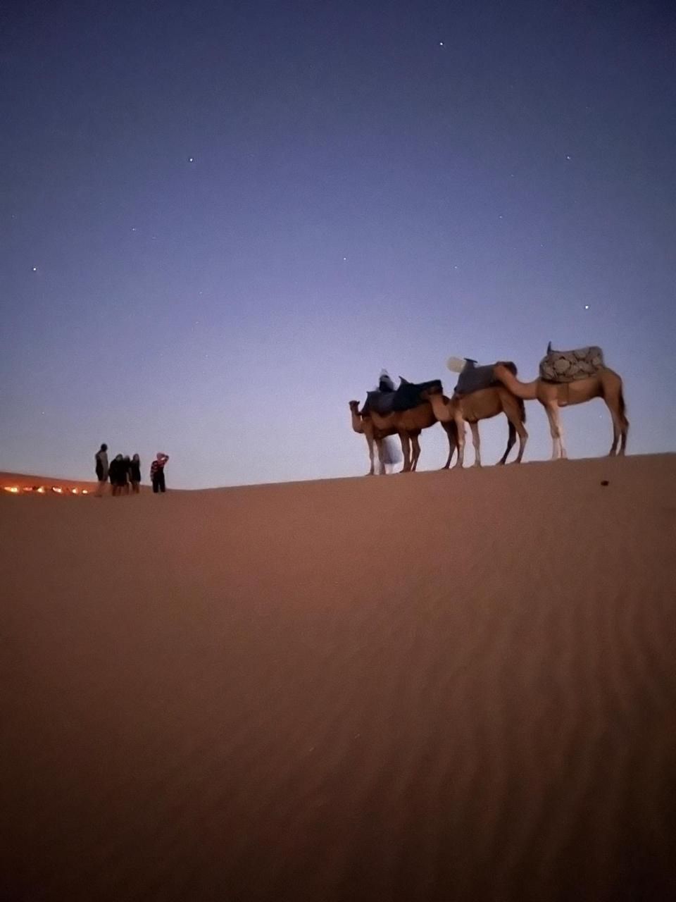 A desert landscape at dusk with camels and people.