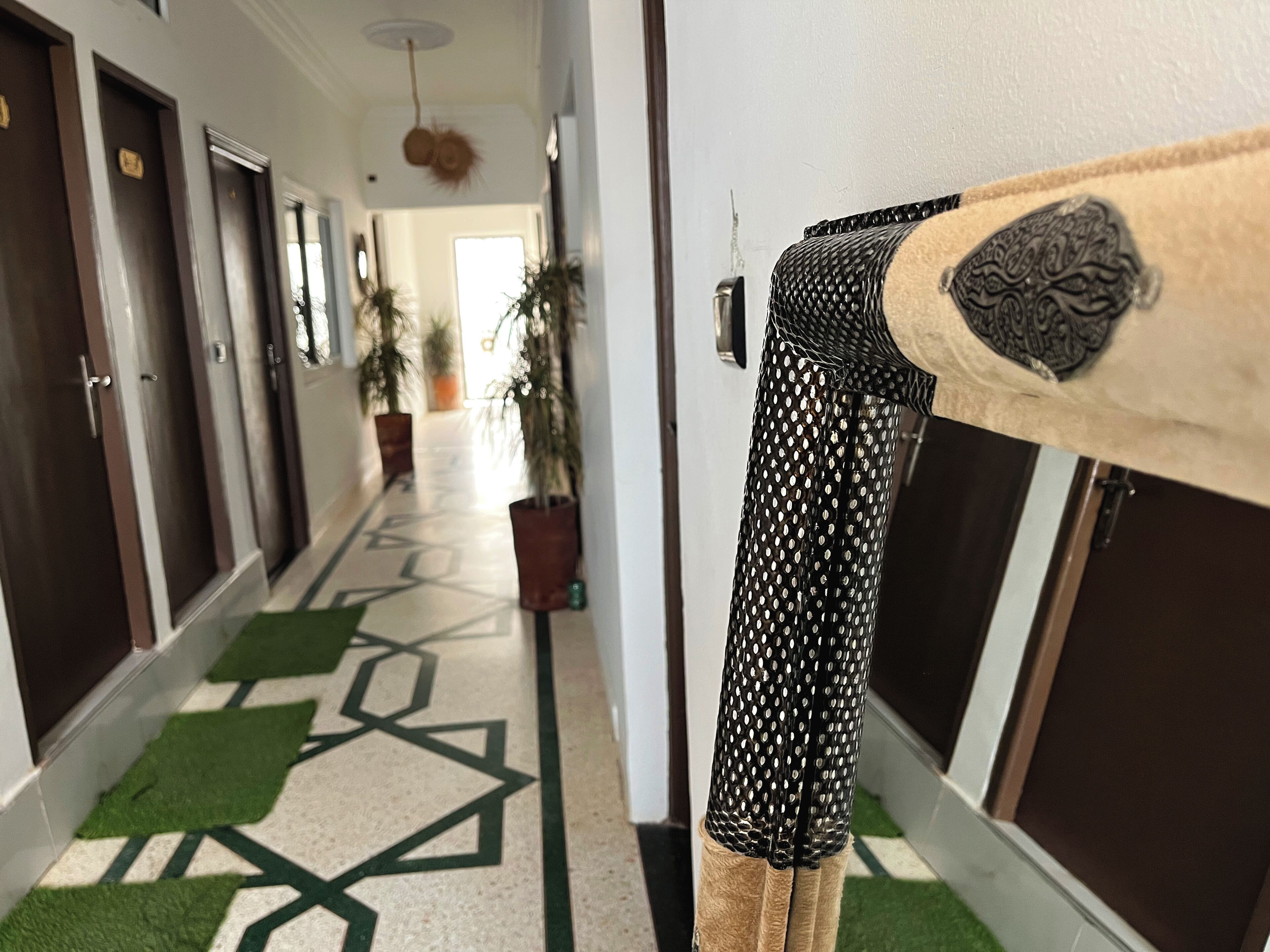 Corredor de hotel com piso estampado em padrão geométrico, plantas em vasos e um arranhador para gatos.