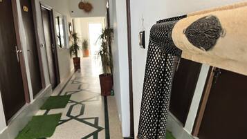 Corredor de hotel com piso estampado em padrão geométrico, plantas em vasos e um arranhador para gatos.
