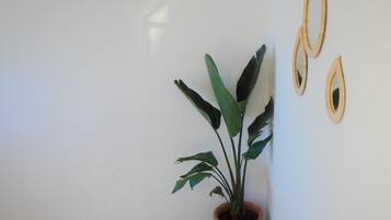 Een potplant voor een witte muur, met drie houten ringen en het logo van 'ECO BAY SURF CAMP'.