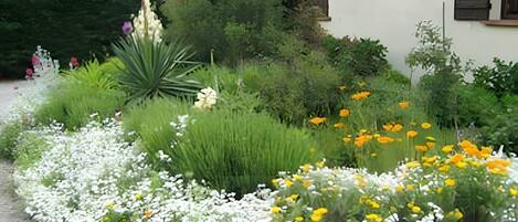 DĂ©tail de lâextĂ©rieur