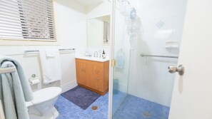 Une salle de bain comprenant des toilettes, un meuble en bois, une cabine de douche en verre et un sol carrelé de carreaux bleus.