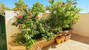 A garden with various plants and flowers, a brick wall, and a green door. - Holiday Home 'El Rincón Sevillano' with Private Terrace, Wi-Fi and Air Conditioning (Gerena)