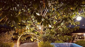 An outdoor garden area with a fountain, a pathway, and a well-lit archway. - The Alphonso Mango County (Anjarle)