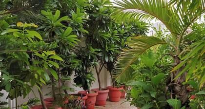 Rooftop Apartment with Garden View