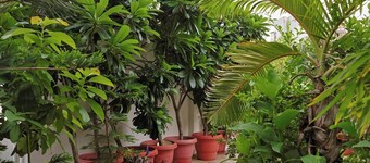 Rooftop Apartment with Garden View
