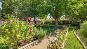 A garden with a pathway, various plants, and a house in the background. - Home w/ Backyard Oasis < 7 Mi to At&t Stadium! (Euless)