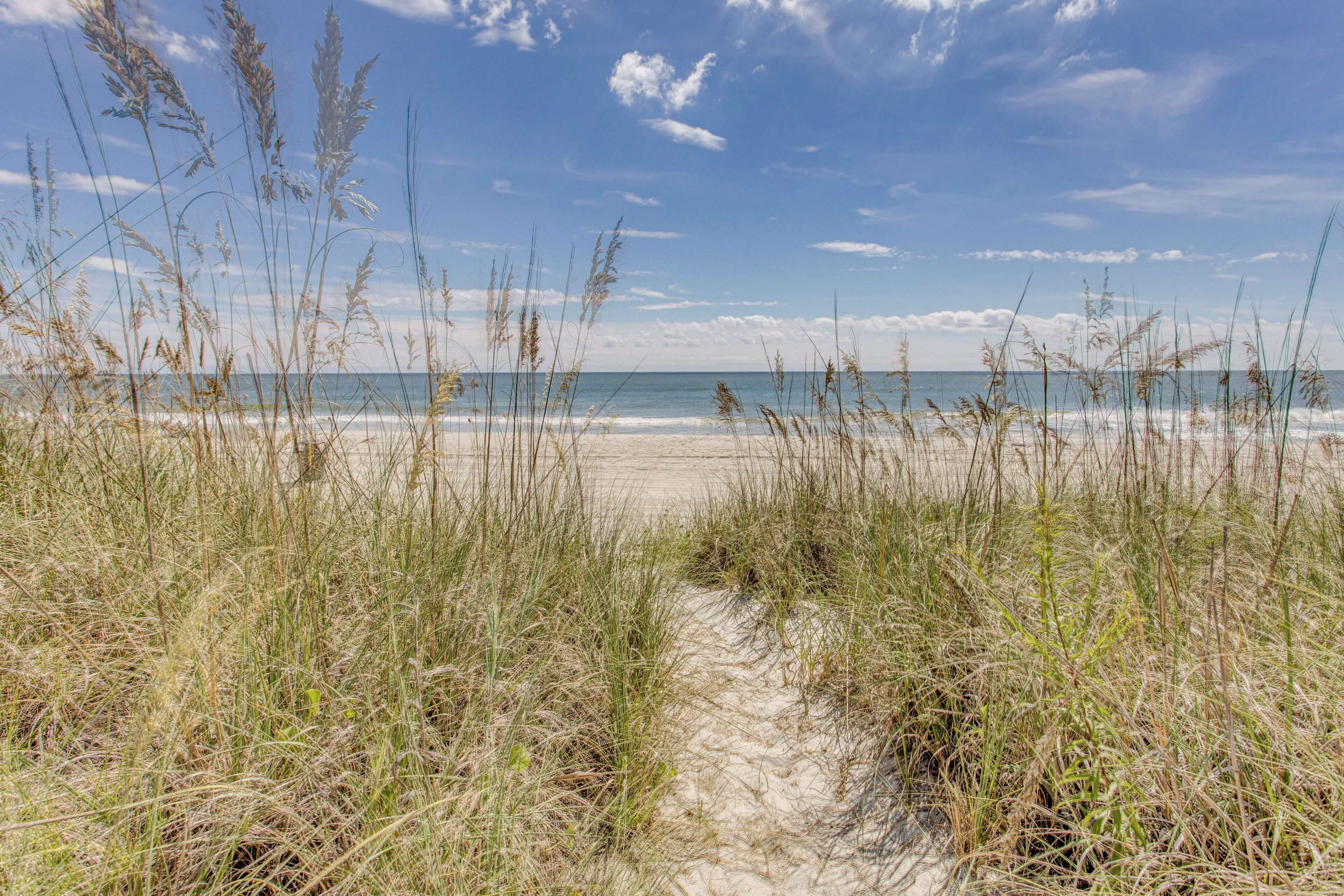 Ein Sandweg am Strand, gesäumt von hohem Gras, der zum Meer führt.