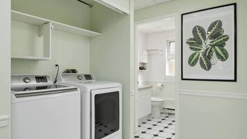 Une buanderie équipée d’un lave-linge et d’un sèche-linge, d’une petite étagère et d’une plante décorative accrochée au mur.