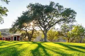 Terrain de l’hébergement 