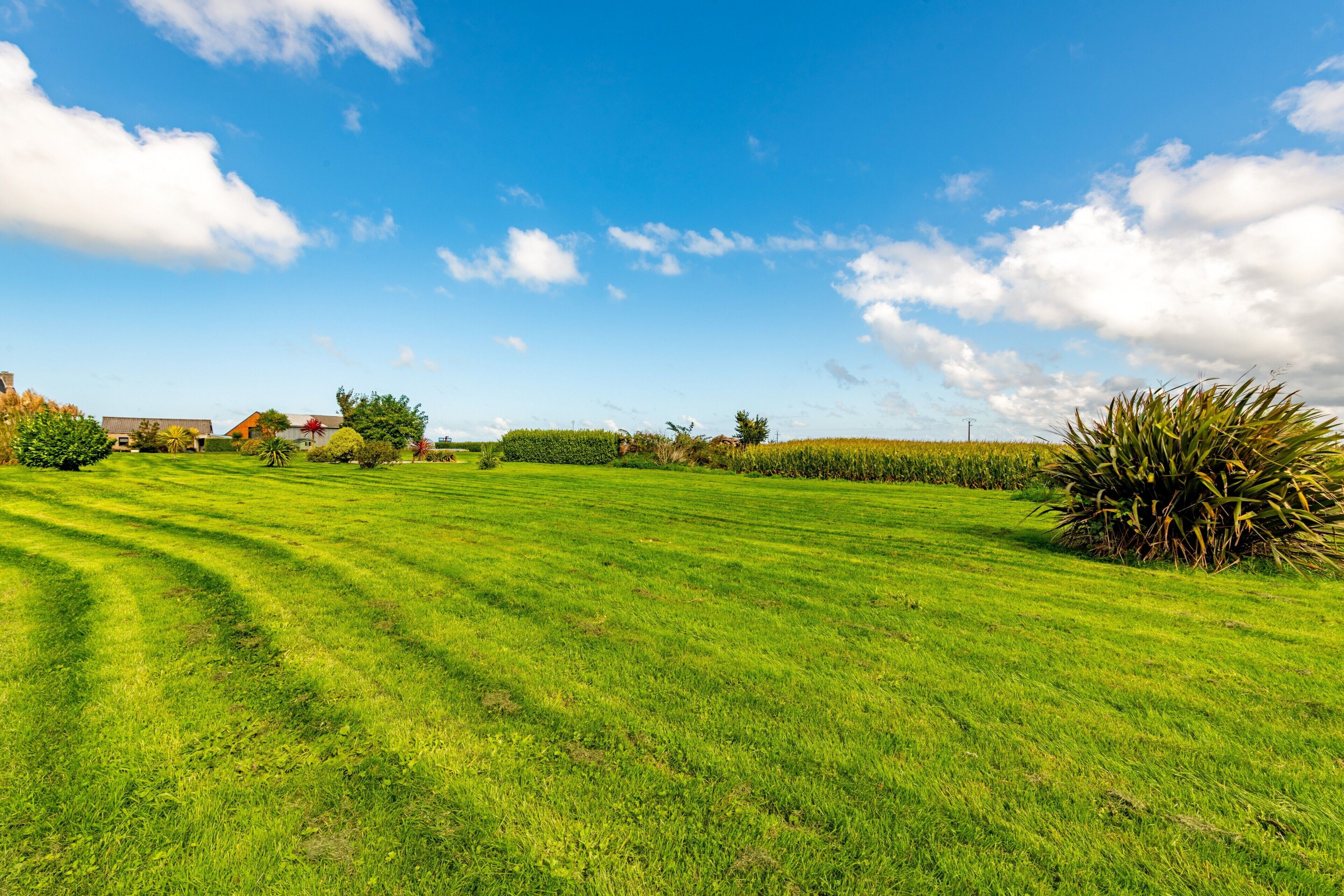 A wide, open grassy field with a clear sky and scattered clouds.