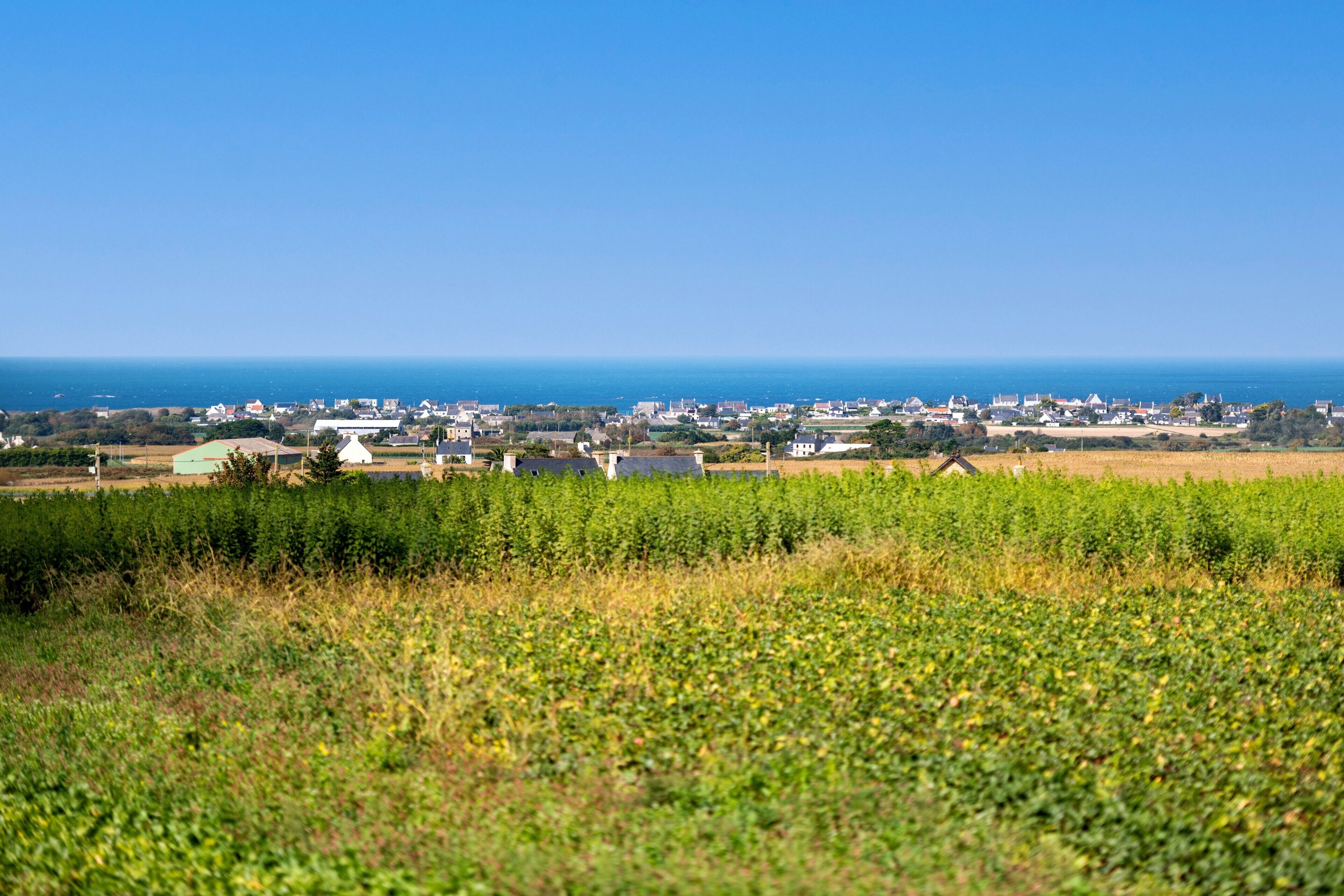 Una cittadina costiera con vista sul mare, campi verdi e edifici sparsi.