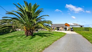 Une maison avec une allée pavée, un palmier et un ciel d’un bleu éclatant.