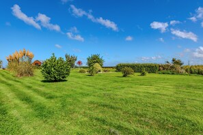 A grassy field with various trees and a building in the background.