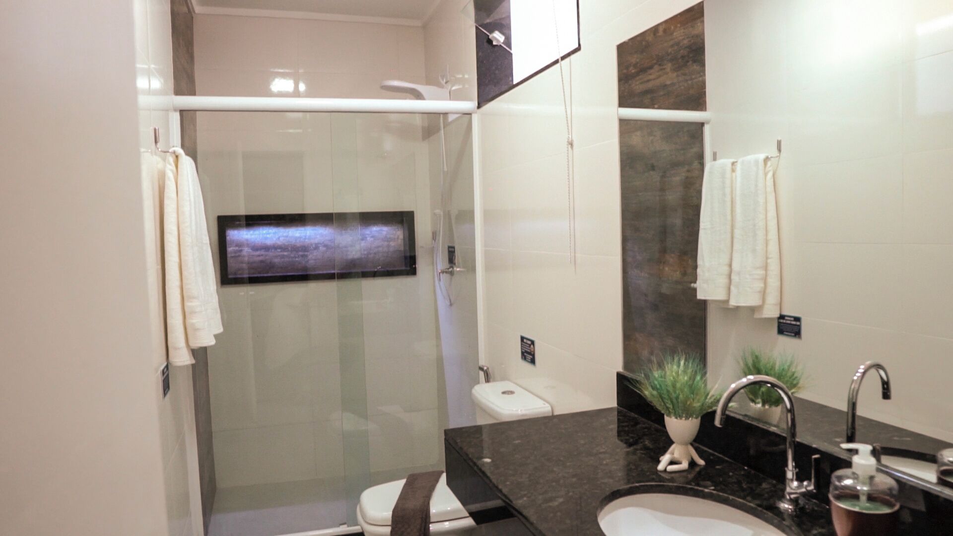 A modern bathroom with a glass-enclosed shower, a toilet, a sink with a mirror, and a potted plant.