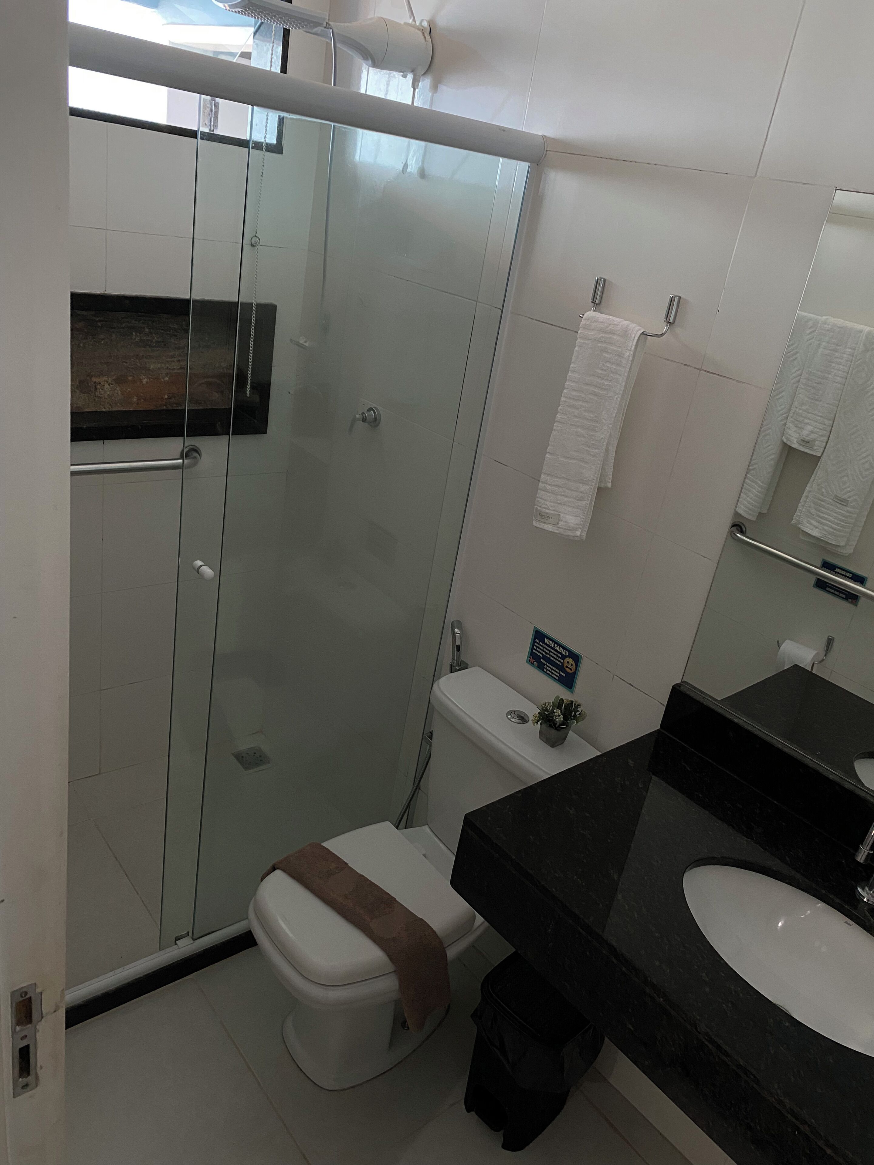 A bathroom with a glass-enclosed shower, a toilet, a sink, and a mirror.
