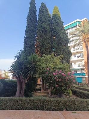 A landscaped garden with tall trees, a palm tree, and flowering bushes.