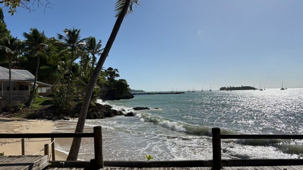 A wooden pier with a railing, overlooking a beach with palm trees and a view of the ocean. - Spacious studio on the seafront, newly renovated (Le Gosier)