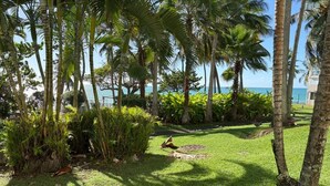 A tropical garden with palm trees and a view of the ocean. - Spacious studio on the seafront, newly renovated (Le Gosier)