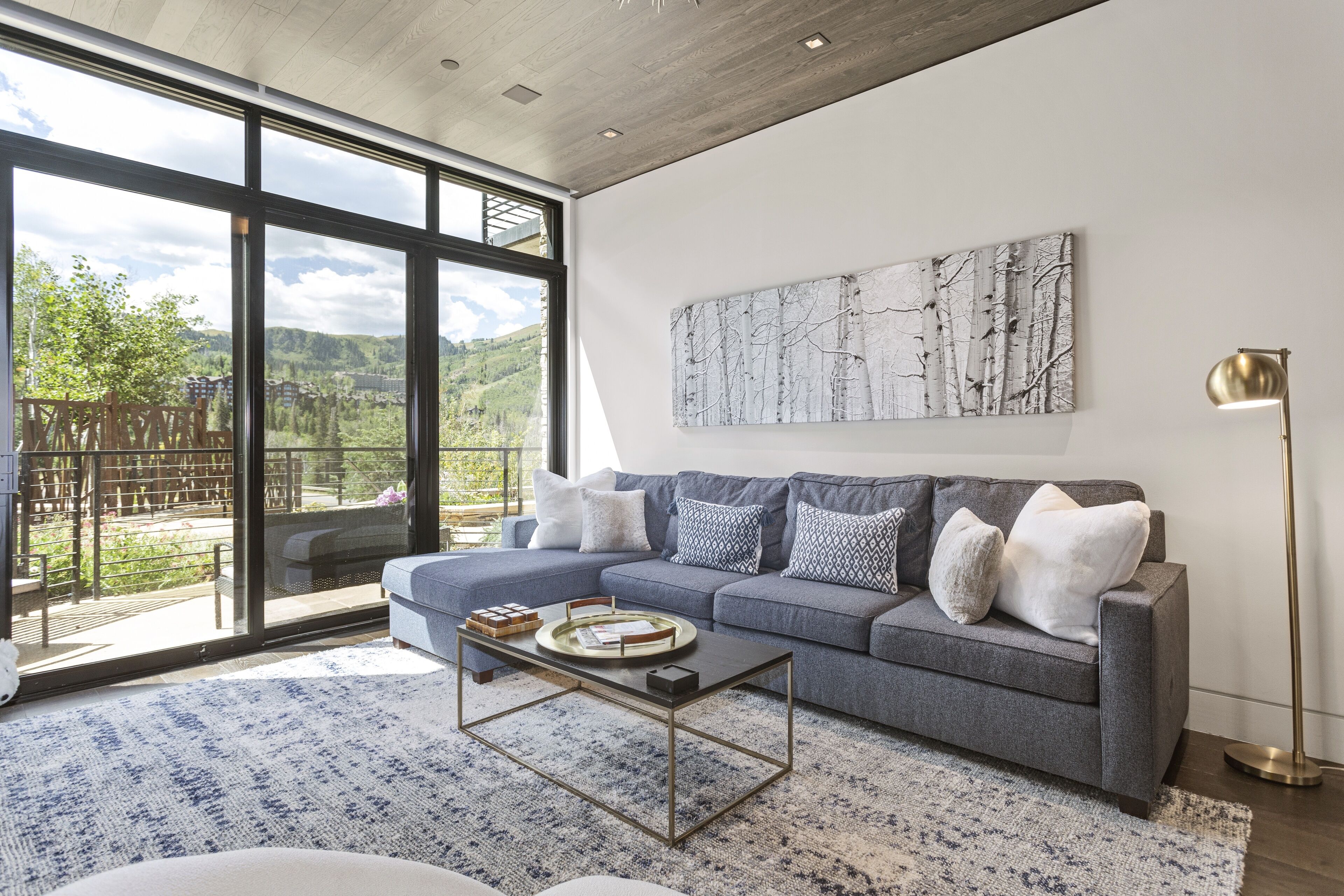 Smart TV, servicios de streaming