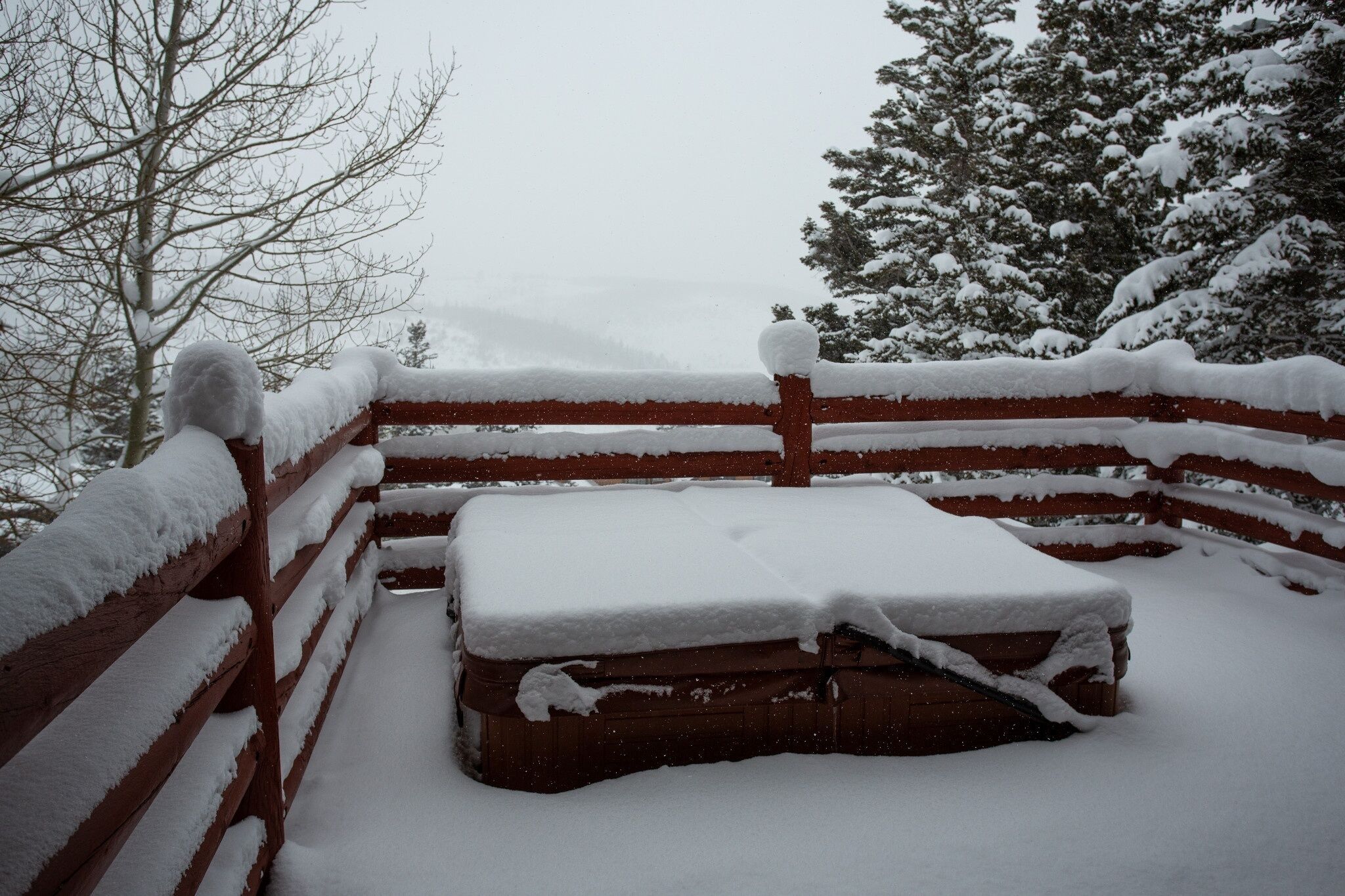 A wooden bench covered in snow, a red fence, and a snow-covered tree in the background.