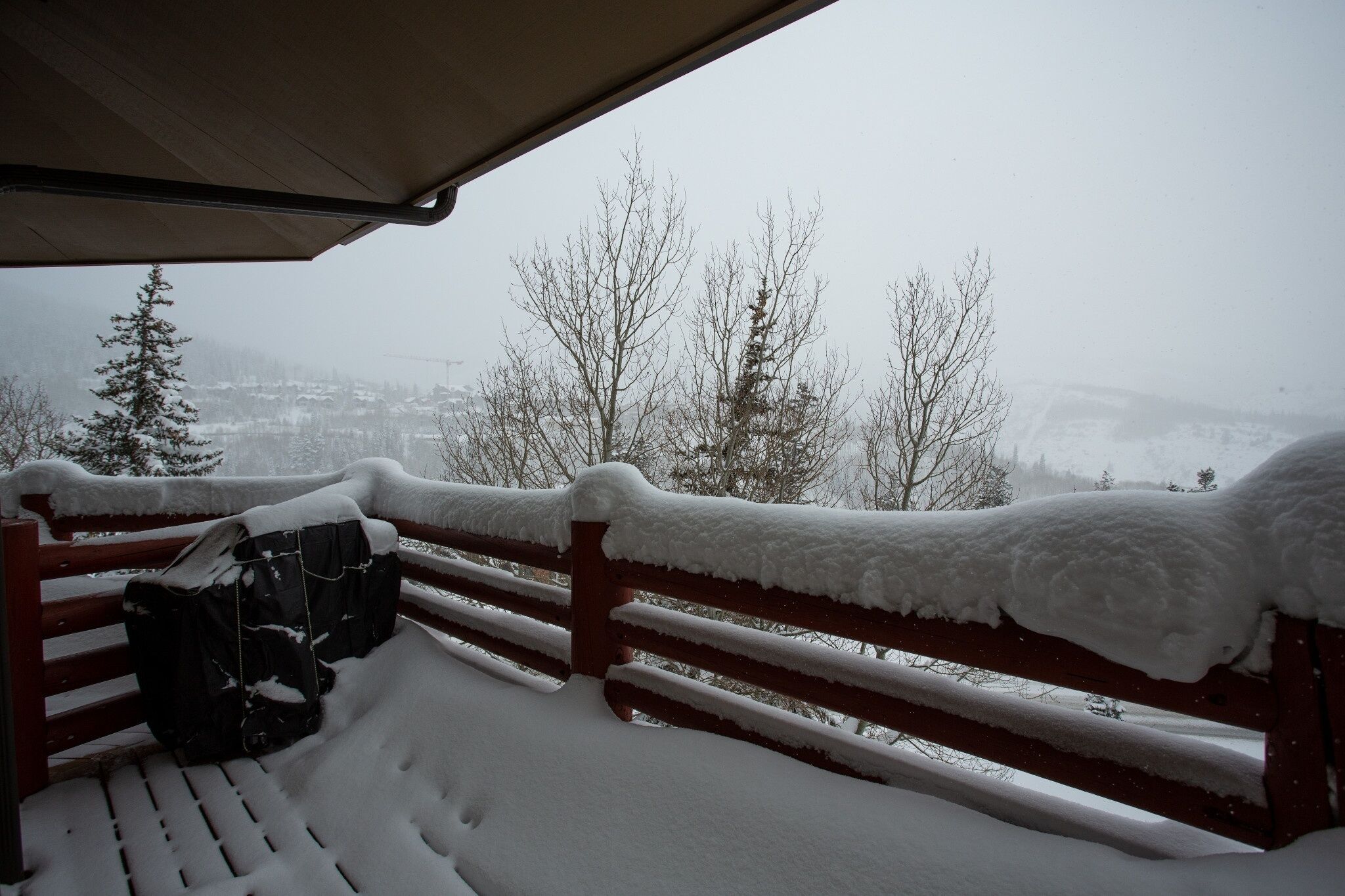 A snow-covered bench and railing, with a view of a snowy landscape and trees in the background.